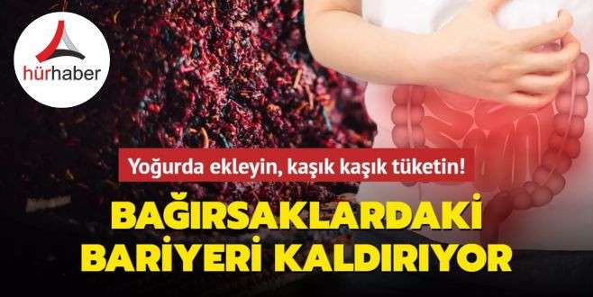 Bağırsaklardaki bariyeri kaldırıyor! Yoğurda ekleyin, kaşık kaşık tüketin