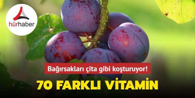Bağırsakları çita gibi koşturuyor! Bu meyve enerjinizi yüzde yüze çıkarıyor