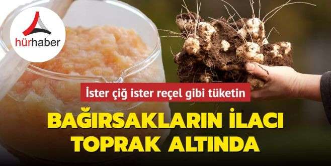 Bağırsakların ve kabızlığın ilacı toprak altında! İster &ccedil;iğ ister re&ccedil;el gibi t&uuml;ketin, adeta ila&ccedil;