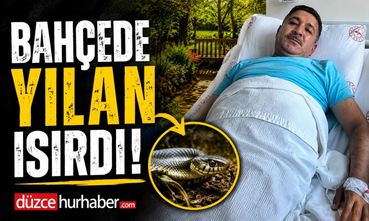 Bah&ccedil;ede Yılan Isırdı! O Anları B&ouml;yle Anlattı
