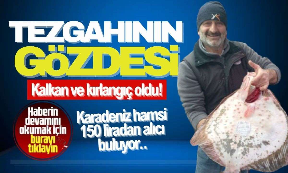 Balık tezgahı Bol ve bereketli geçiyor! 