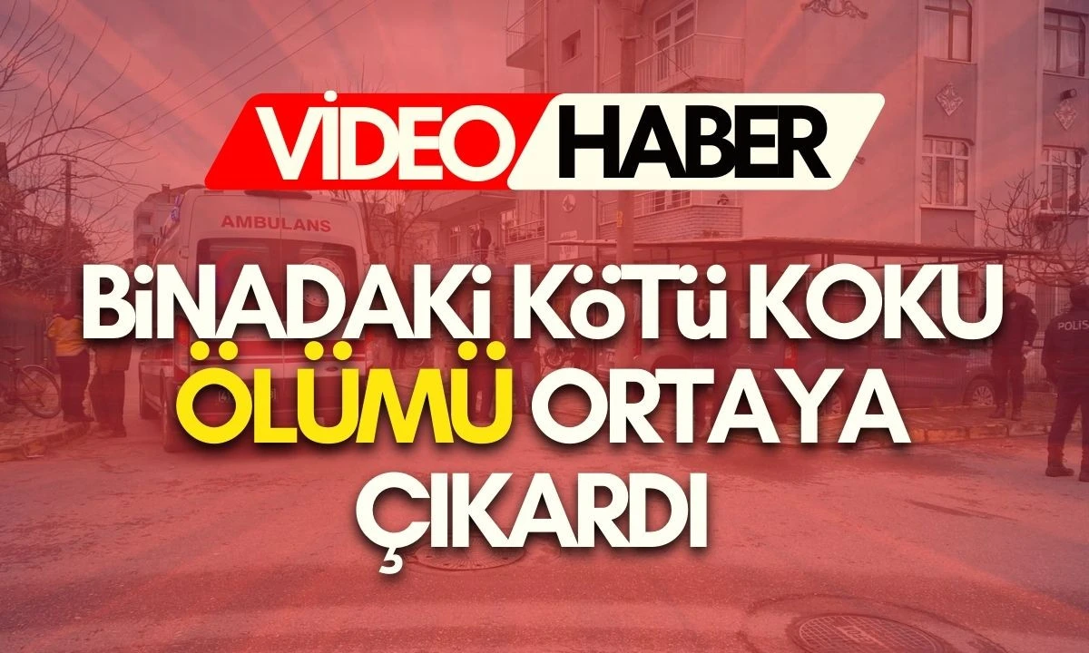 Binadaki k&ouml;t&uuml; koku &ouml;l&uuml;m&uuml; ortaya &ccedil;ıkardı