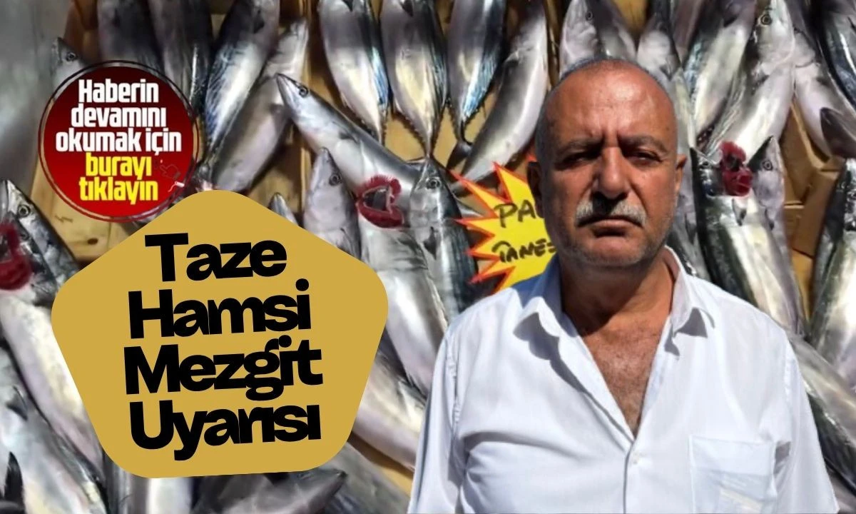 Buzhane Balık Riski: Taze Tercih Edin