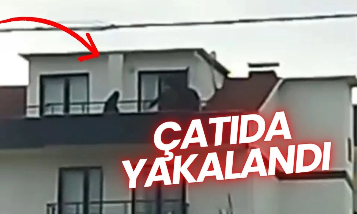 &Ccedil;atıda yakalandı