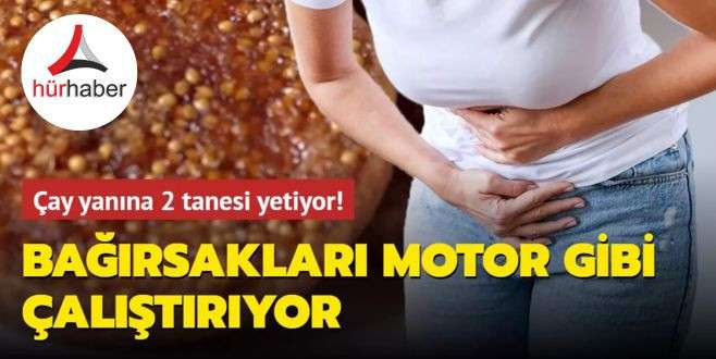 Çay yanına 2 tanesi yetiyor! Bağırsakları motor gibi çalıştırıyor!