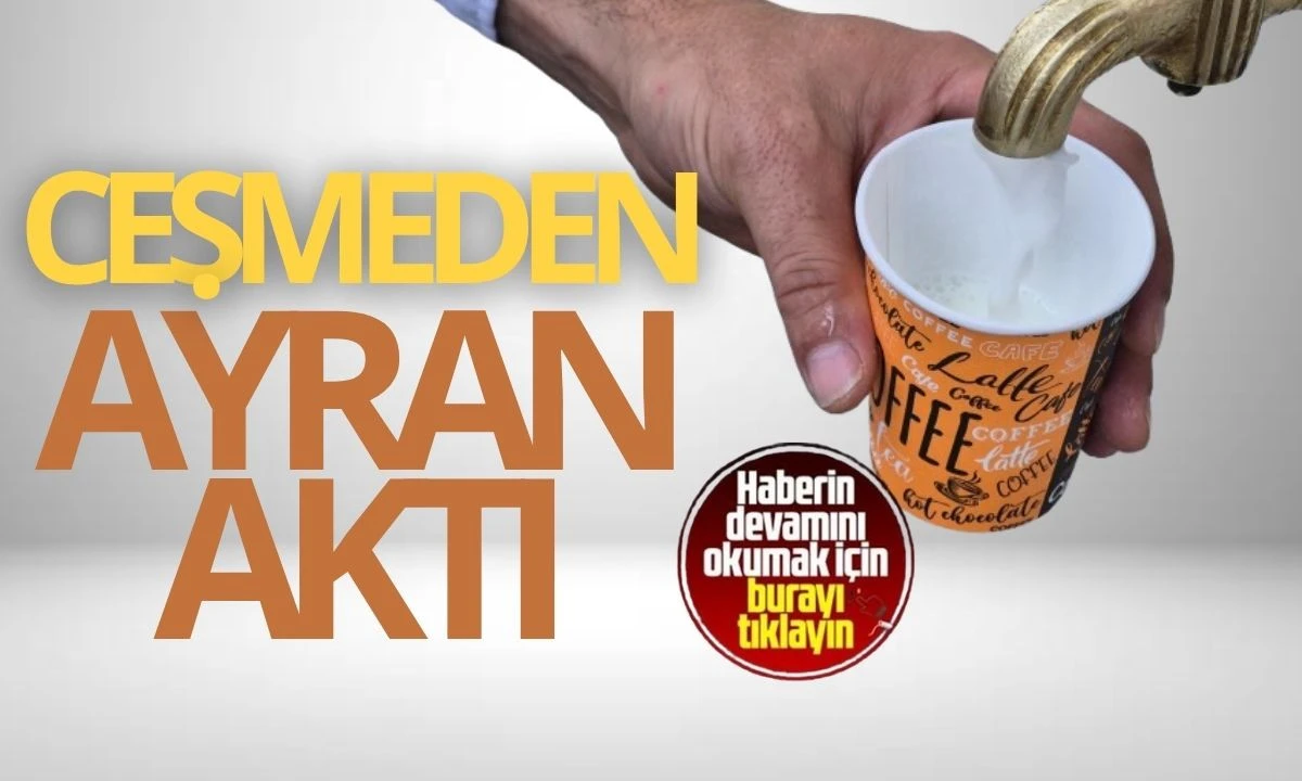 Çeşmeden ayran aktı 