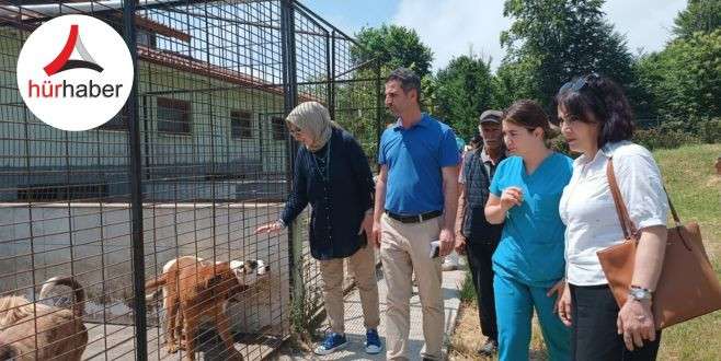 CHP heyetinden hayvan konukevine tam not