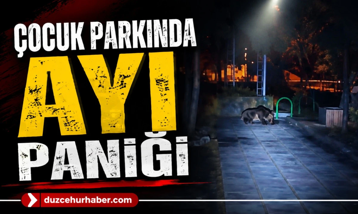&Ccedil;ocuk Parkında Ayı Paniği! O Anlar Kamerada