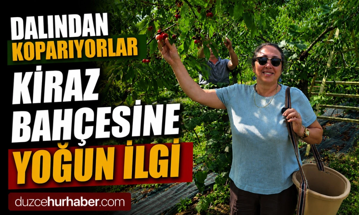 Dalından Koparıp Yiyorlar, İlgi Her Ge&ccedil;en G&uuml;n Artıyor