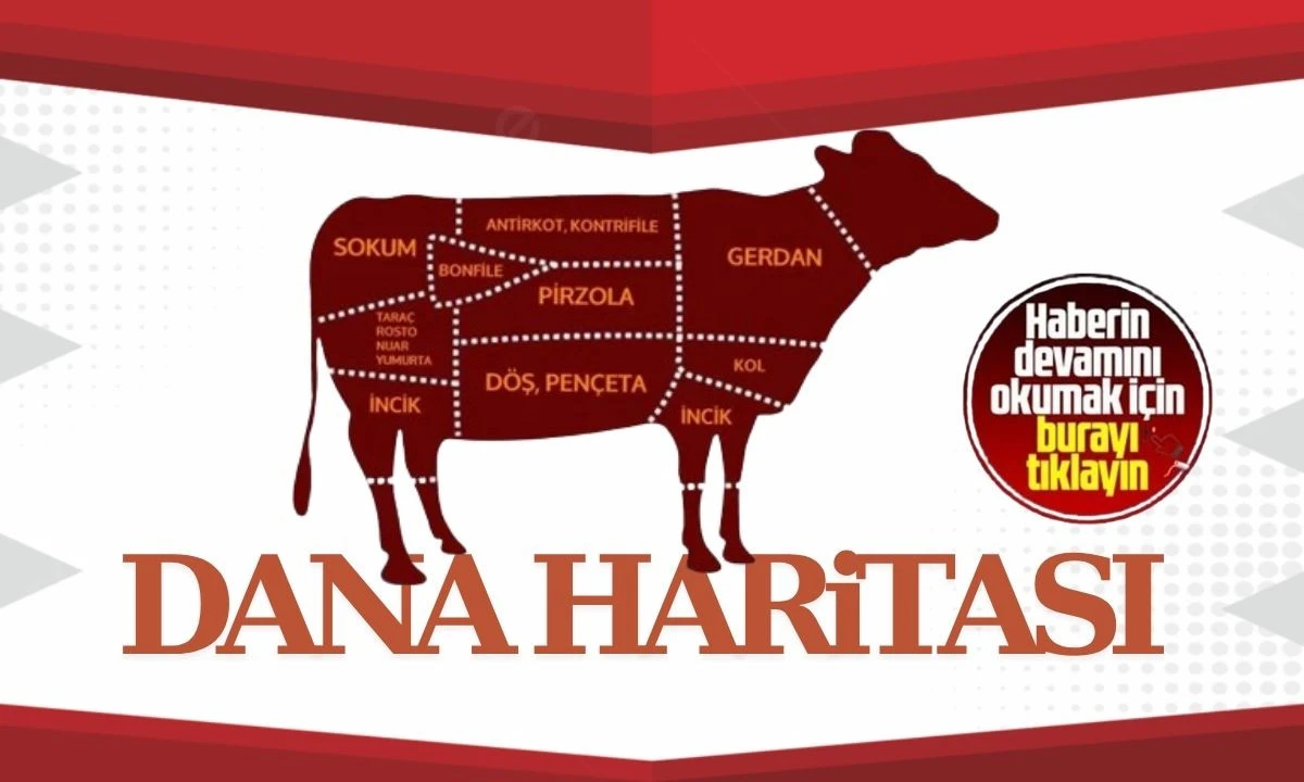 Dana haritası Kurban etinin bölgelere göre kullanım rehberi