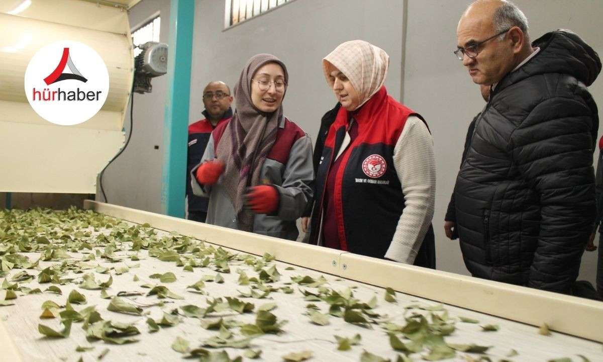 Devletten aldığı destek işletme kapasitesi 3 katına &ccedil;ıktı!