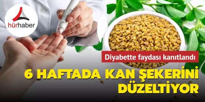 Diyabette faydası kanıtlandı! 6 haftada kan şekerini düzeltiyor