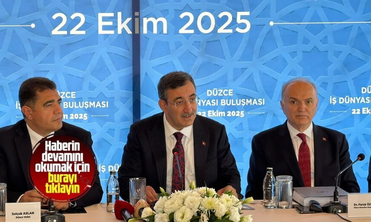 "Dünya ekonomisine göre, her yıl 1,9 puan daha yüksek bir büyüme kaydetmişiz"