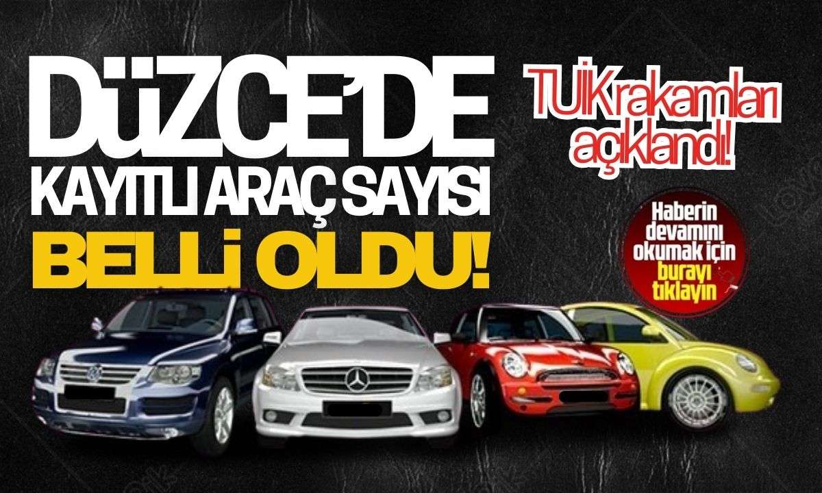 Düzce 2025 Yılı Araç sayısı.. TUİK rakamları açıklandı!