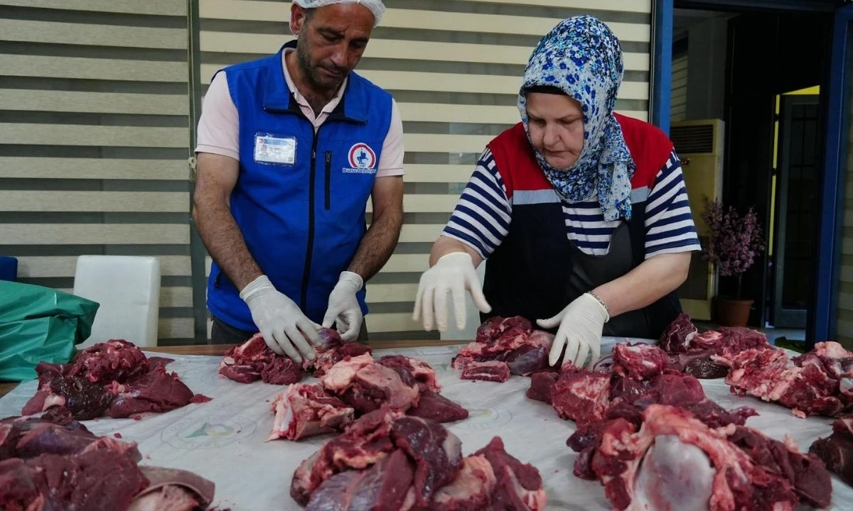 Düzce belediyesi hayra vesile olacak