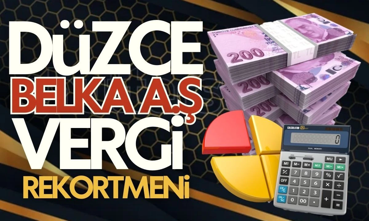 D&uuml;zce Belka A.Ş  vergi rekortmeni listesinde 
