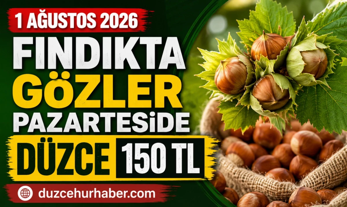 D&uuml;zce Fındık Fiyatları 1 Ağustos 2026: G&ouml;zler 3 Ağustos Pazartesi Piyasasında