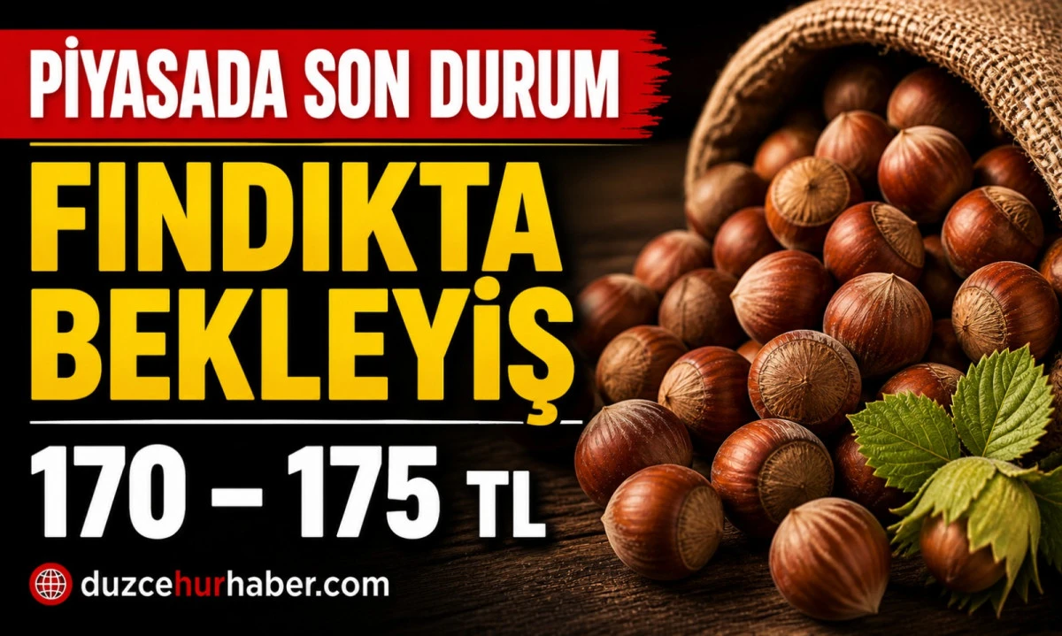 D&uuml;zce Fındık Fiyatları 1 Mayıs 2026: Piyasada Son Durum Ne?