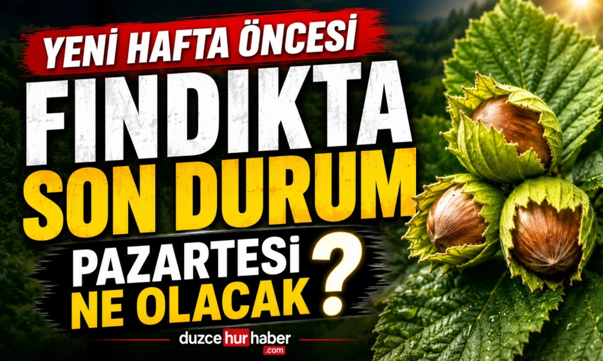 D&uuml;zce Fındık Fiyatları 10 Mayıs 2026: Yeni Hafta &Ouml;ncesi Son Tablo