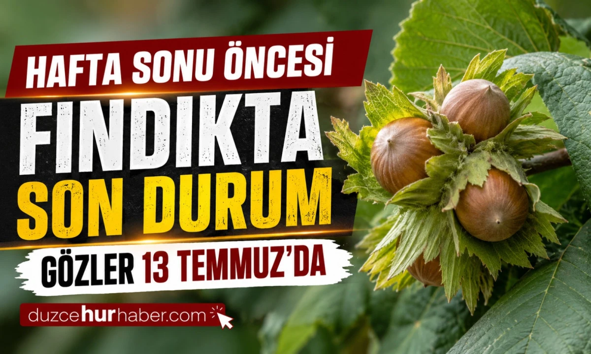 D&uuml;zce Fındık Fiyatları 10 Temmuz 2026: G&ouml;zler 13 Temmuz Pazartesi Piyasasında