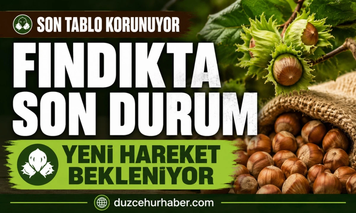D&uuml;zce Fındık Fiyatları 11 Haziran 2026: Piyasada Son Tablo Korunuyor