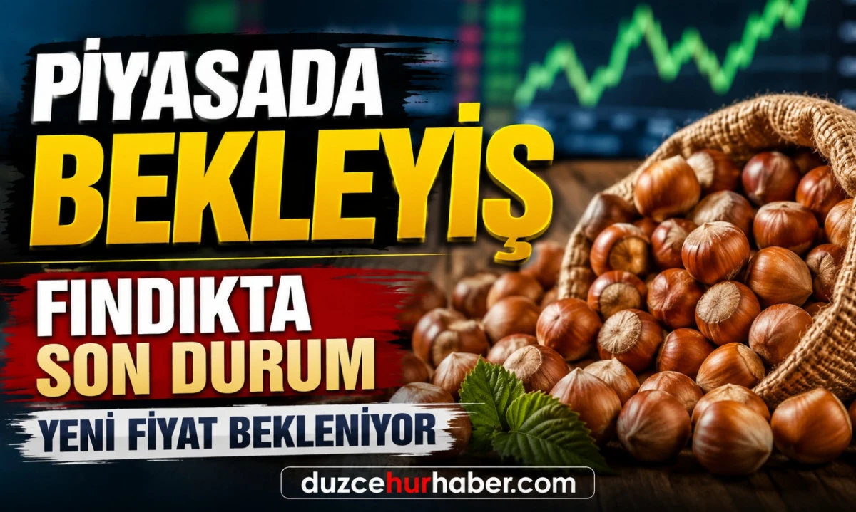 D&uuml;zce Fındık Fiyatları 12 Mayıs 2026: Piyasada Bekleyiş S&uuml;r&uuml;yor