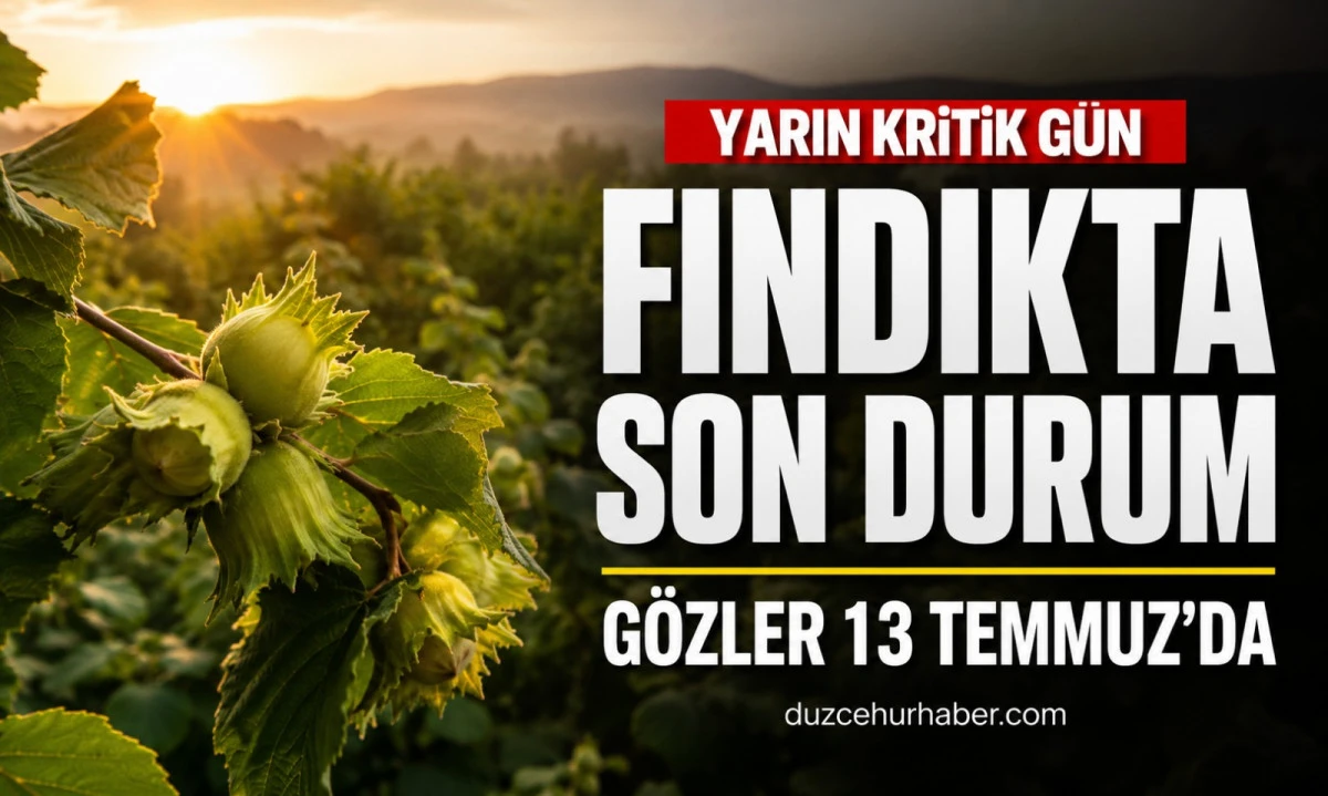 D&uuml;zce Fındık Fiyatları 12 Temmuz 2026: G&ouml;zler Yarın A&ccedil;ıklanacak İlk Fiyatlarda