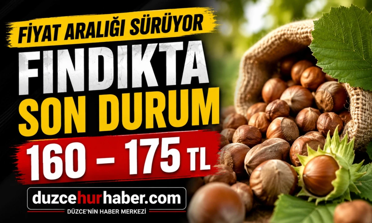 D&uuml;zce Fındık Fiyatları 14 Mayıs 2026: Piyasada Fiyat Aralığı Korunuyor