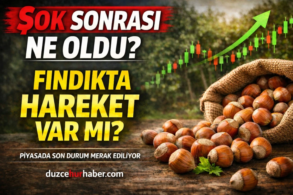 D&uuml;zce Fındık Fiyatları 14 Nisan 2026: Şok Sonrası Piyasa Toparlanıyor mu? İl&ccedil;e İl&ccedil;e G&uuml;ncel Liste