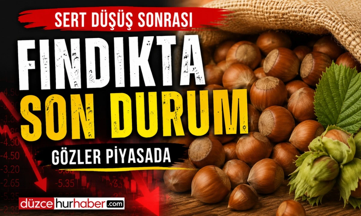 D&uuml;zce Fındık Fiyatları 14 Temmuz 2026: Sert D&uuml;ş&uuml;ş&uuml;n Ardından Piyasada Son Durum