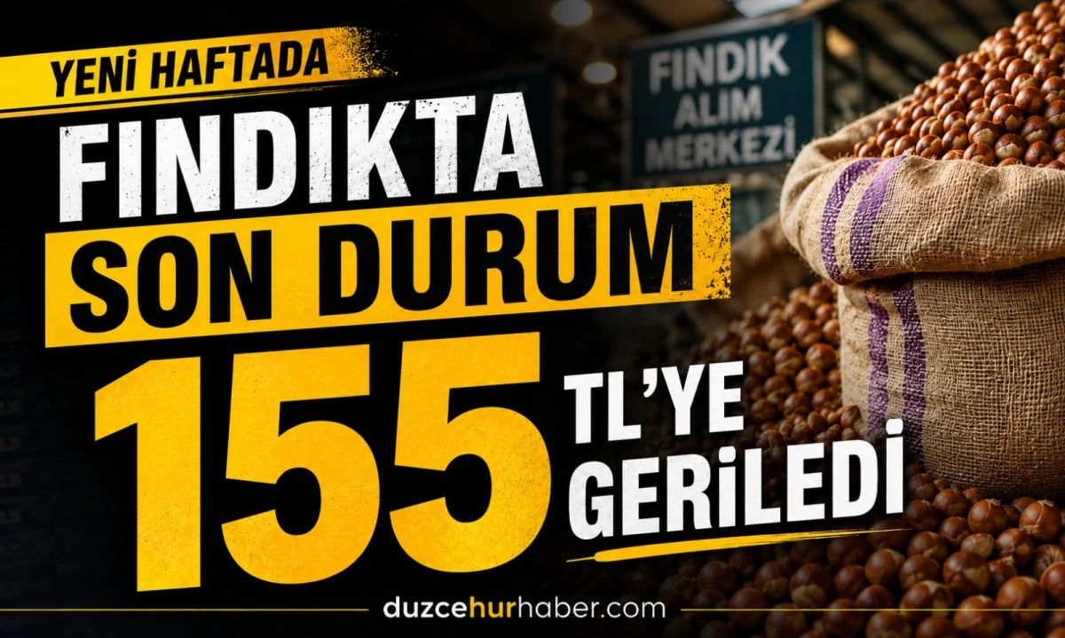 D&uuml;zce Fındık Fiyatları 15 Haziran 2026: D&uuml;zce&rsquo;de Fındık 155 TL&rsquo;ye Geriledi