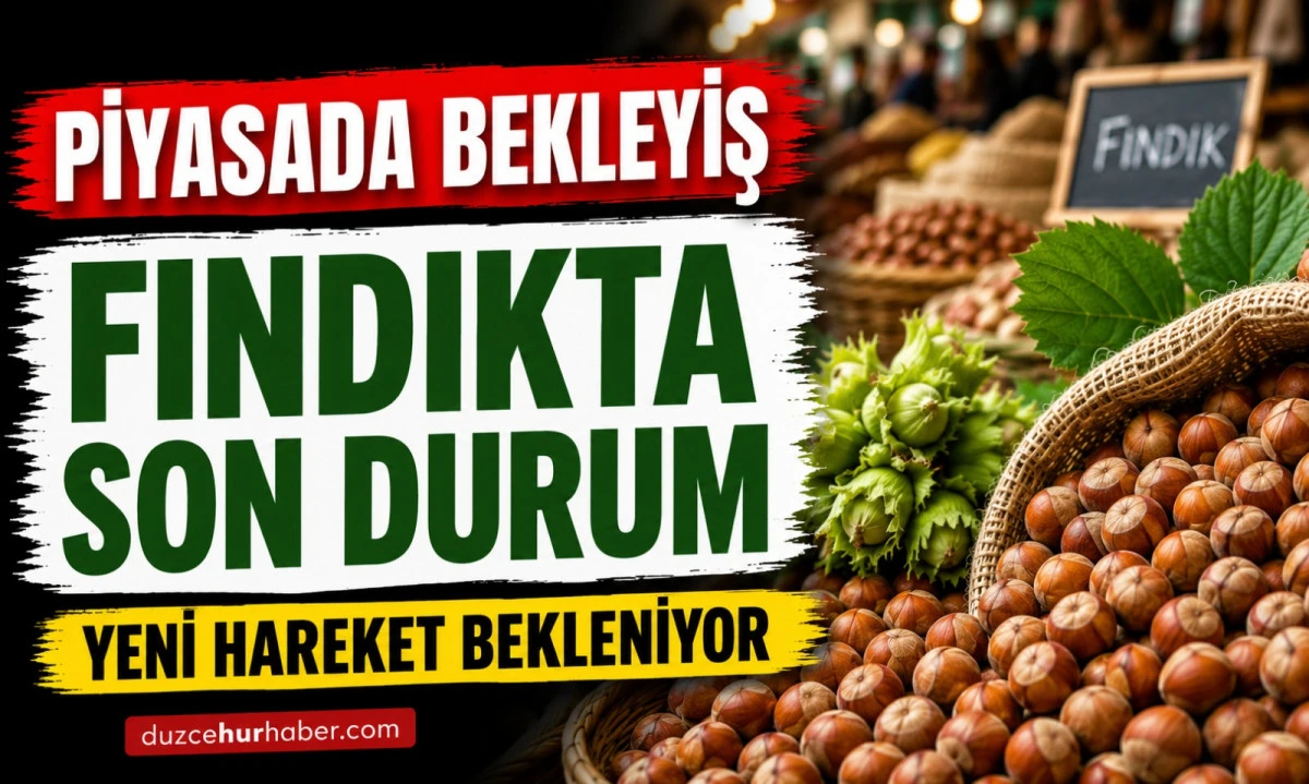 D&uuml;zce Fındık Fiyatları 15 Mayıs 2026: Piyasada Bekleyiş S&uuml;r&uuml;yor