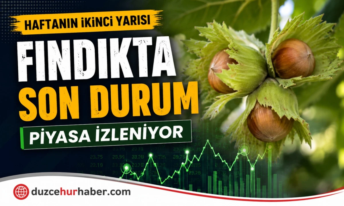 D&uuml;zce Fındık Fiyatları 16 Temmuz 2026: Haftanın İkinci Yarısında Piyasada Son G&ouml;r&uuml;n&uuml;m