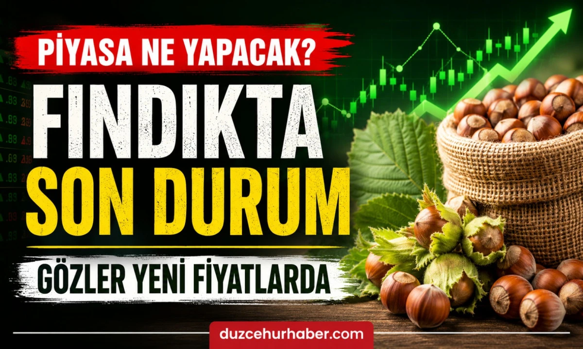 D&uuml;zce Fındık Fiyatları 17 Haziran 2026: Piyasada Beklenen Hareket Gelmedi Mi?