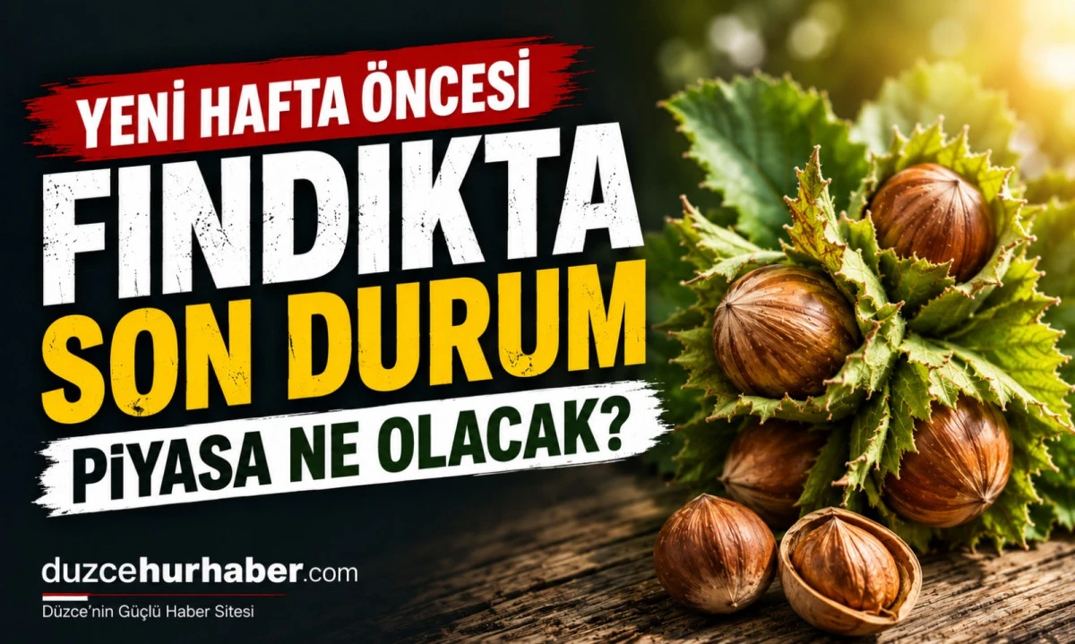 D&uuml;zce Fındık Fiyatları 17 Mayıs 2026: G&ouml;zler 18 Mayıs Pazartesi Piyasasında