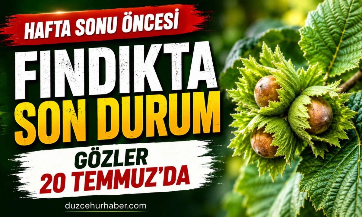 D&uuml;zce Fındık Fiyatları 17 Temmuz 2026: G&ouml;zler 20 Temmuz Pazartesi Piyasasında