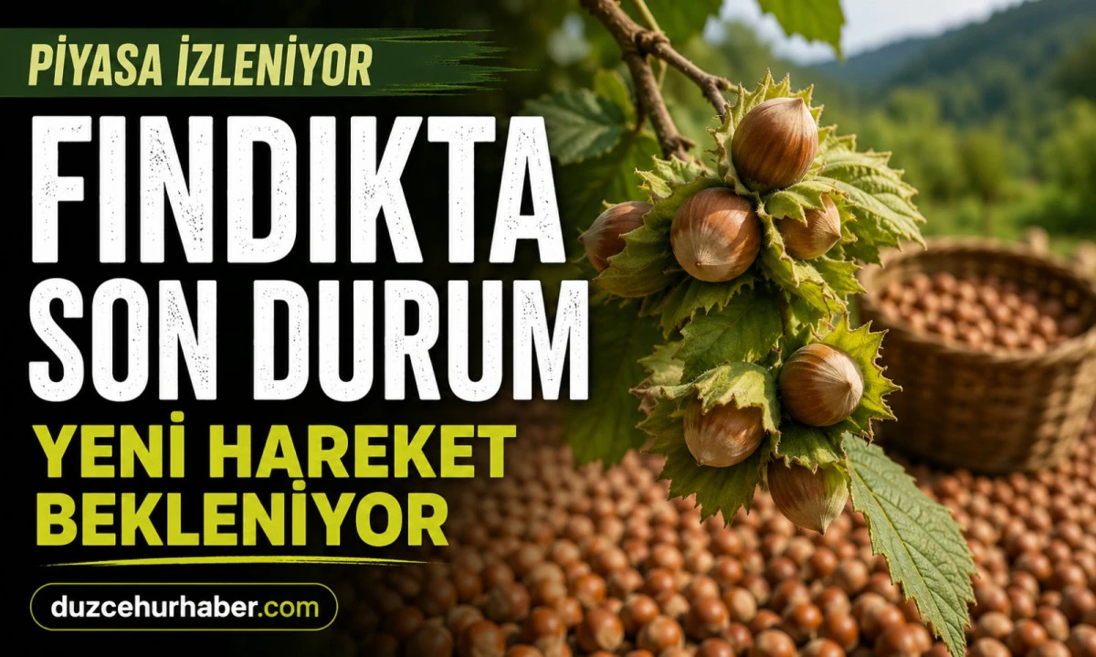 D&uuml;zce Fındık Fiyatları 18 Haziran 2026: Piyasada G&ouml;zler Yeni Haftaya &Ccedil;evrildi