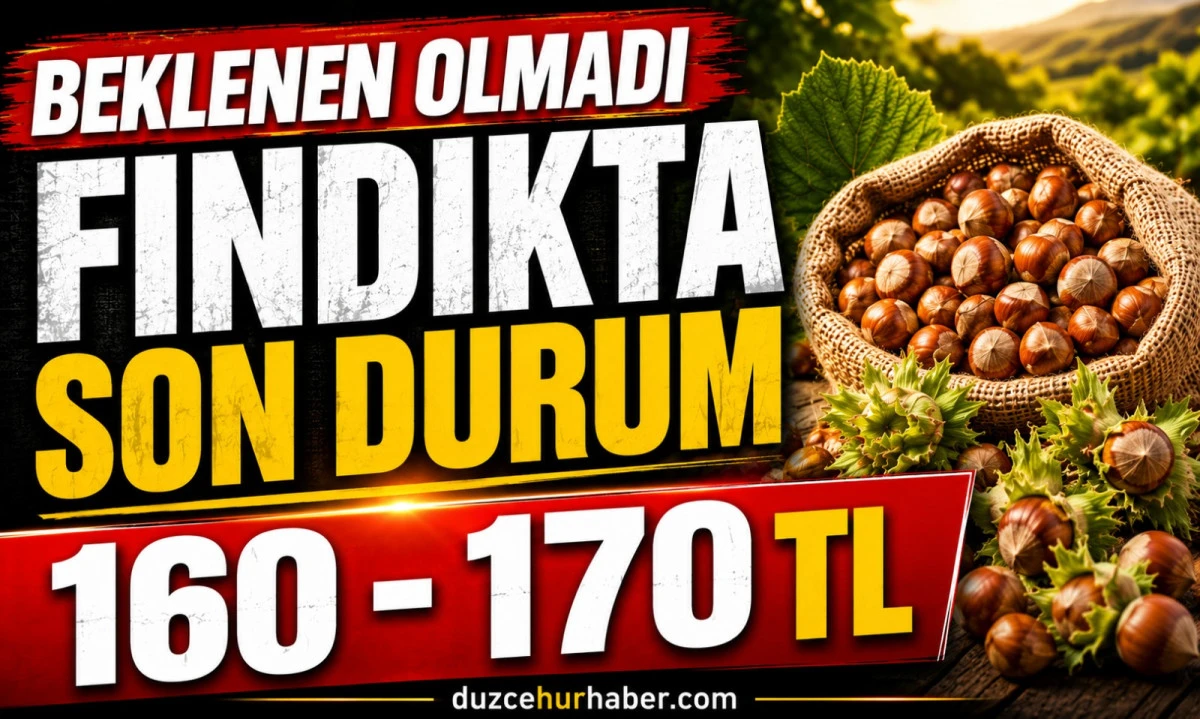 D&uuml;zce Fındık Fiyatları 18 Mayıs 2026: Beklenen Artış Gelmedi