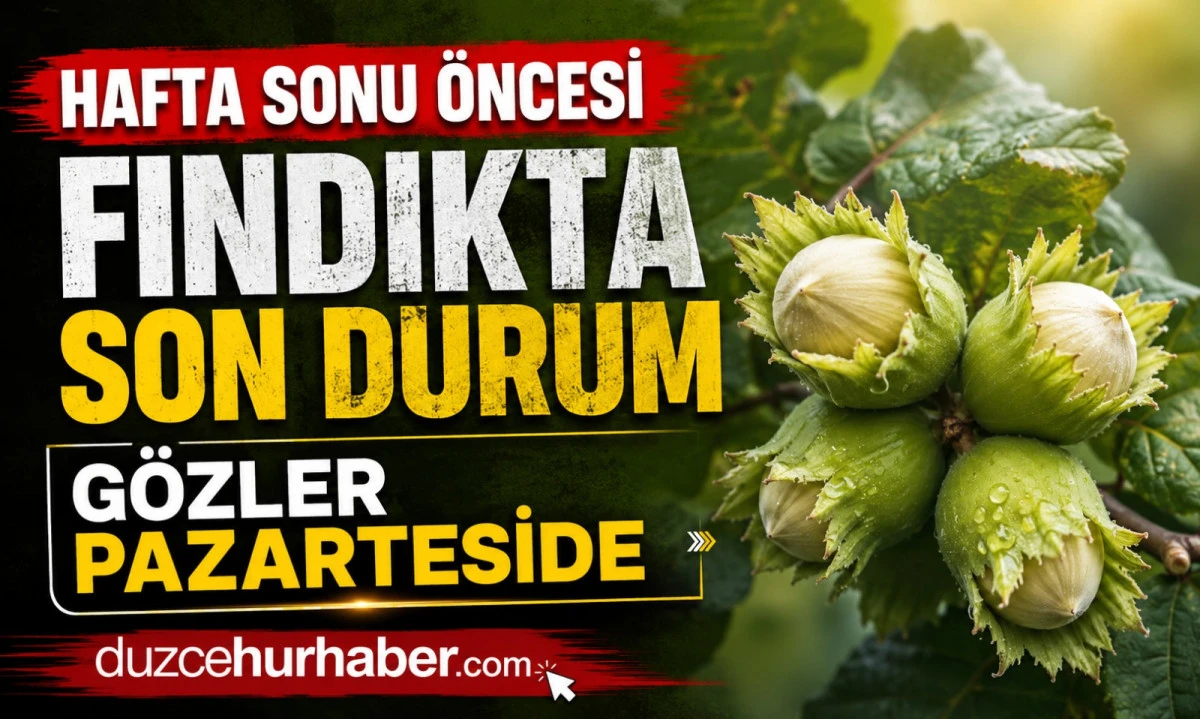 D&uuml;zce Fındık Fiyatları 19 Haziran 2026: G&ouml;zler 22 Haziran Pazartesi Piyasasında