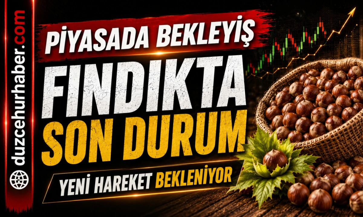 D&uuml;zce Fındık Fiyatları 19 Mayıs 2026: Piyasada Bekleyiş Devam Ediyor