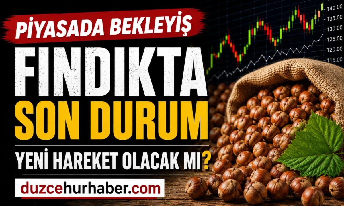 D&uuml;zce Fındık Fiyatları 2 Haziran 2026: Piyasada Bekleyiş S&uuml;r&uuml;yor