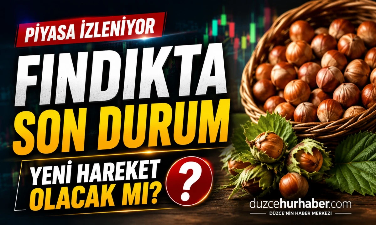 D&uuml;zce Fındık Fiyatları 20 Mayıs 2026: Piyasada Son Durum Yakından Takip Ediliyor