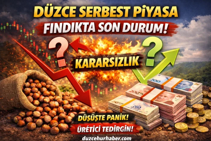 D&uuml;zce Fındık Fiyatları 20 Şubat 2026: Serbest Piyasada Son Durum