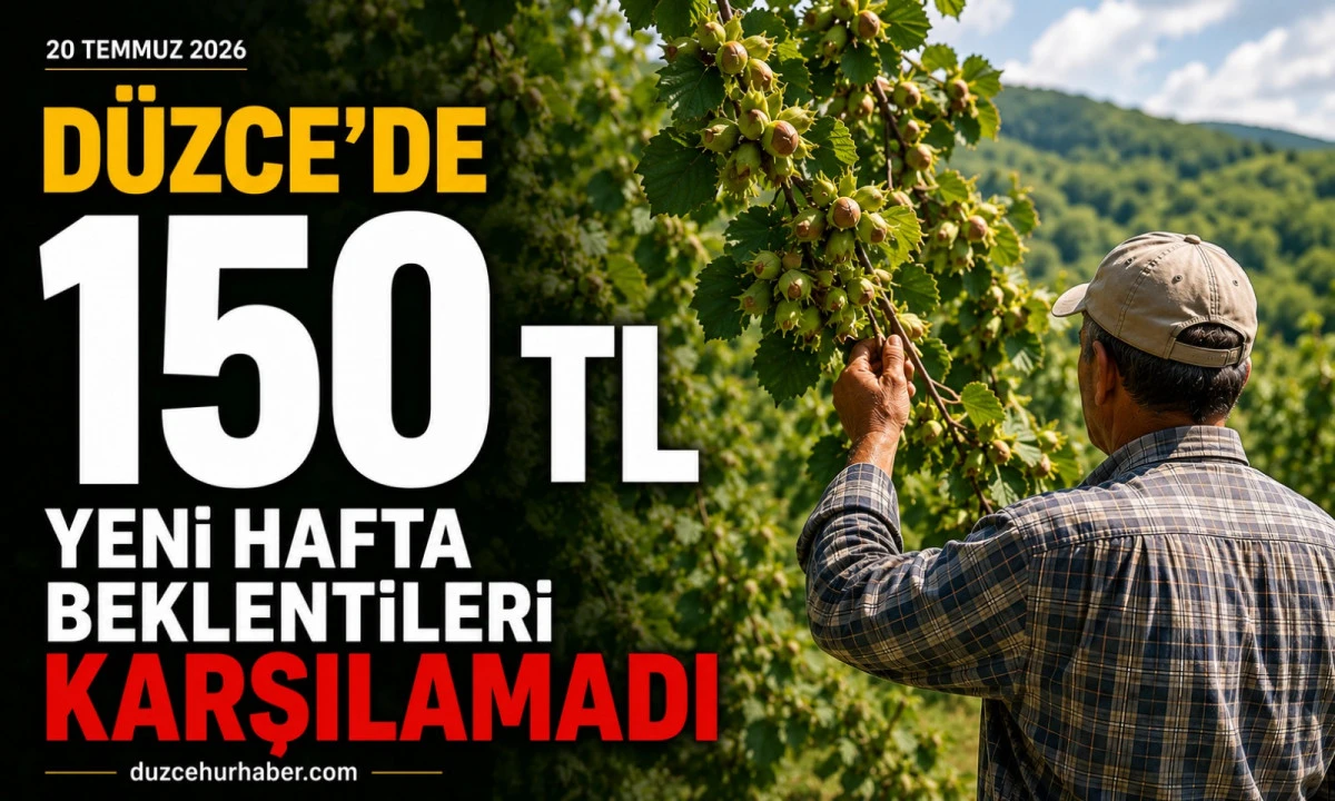 D&uuml;zce Fındık Fiyatları 20 Temmuz 2026: Yeni Hafta &Uuml;reticiyi Umutlandırmadı! G&ouml;zler Rekolte Tahminlerinde