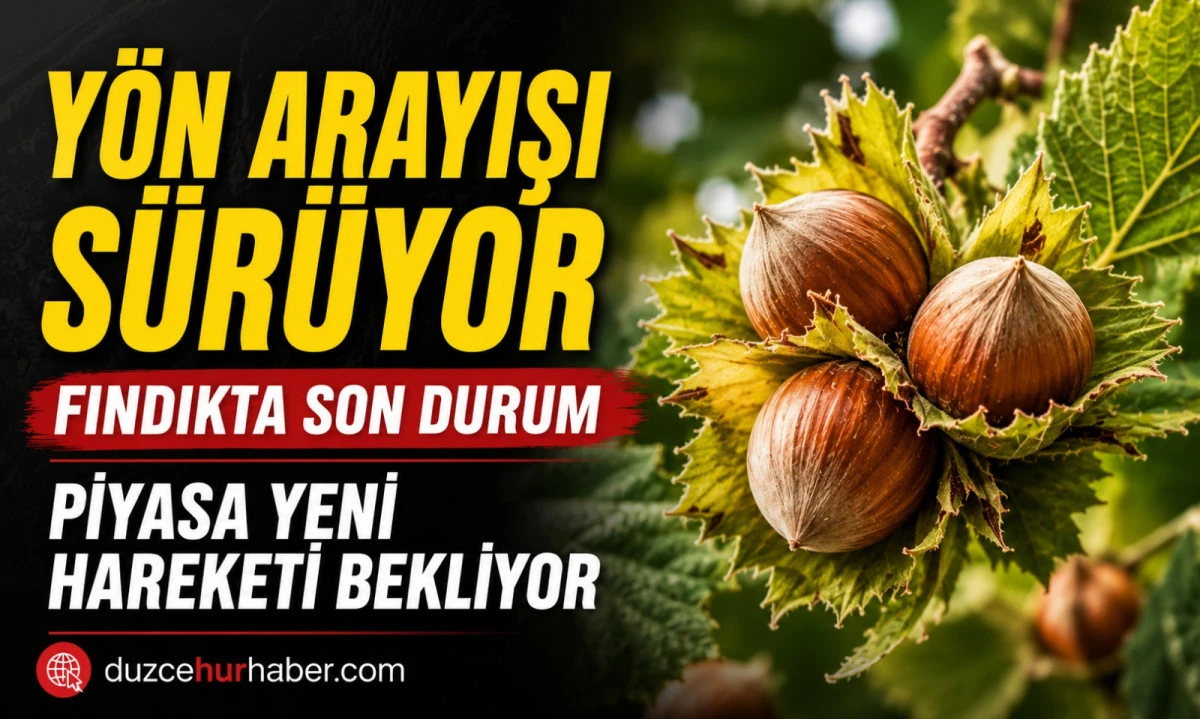 D&uuml;zce Fındık Fiyatları 21 Mayıs 2026: Piyasada Y&ouml;n Arayışı S&uuml;r&uuml;yor