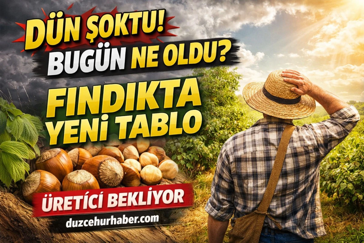 D&uuml;zce Fındık Fiyatları 21 Nisan 2026: D&uuml;n Şoktu, Bug&uuml;n Ne Oldu? İl&ccedil;e İl&ccedil;e G&uuml;ncel Liste