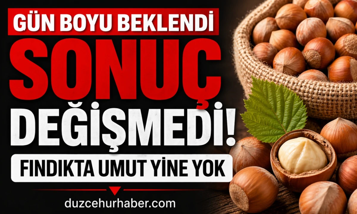 D&uuml;zce Fındık Fiyatları 21 Nisan 2026: G&uuml;n Sonunda Değişmedi, İşte Son Tablo