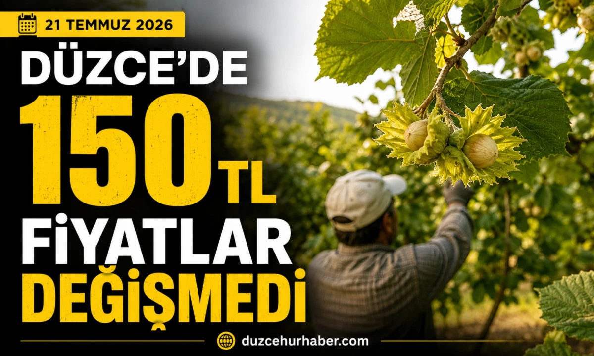 D&uuml;zce Fındık Fiyatları 21 Temmuz 2026: 150 TL Seviyesi Korunuyor! Piyasada Son Durum