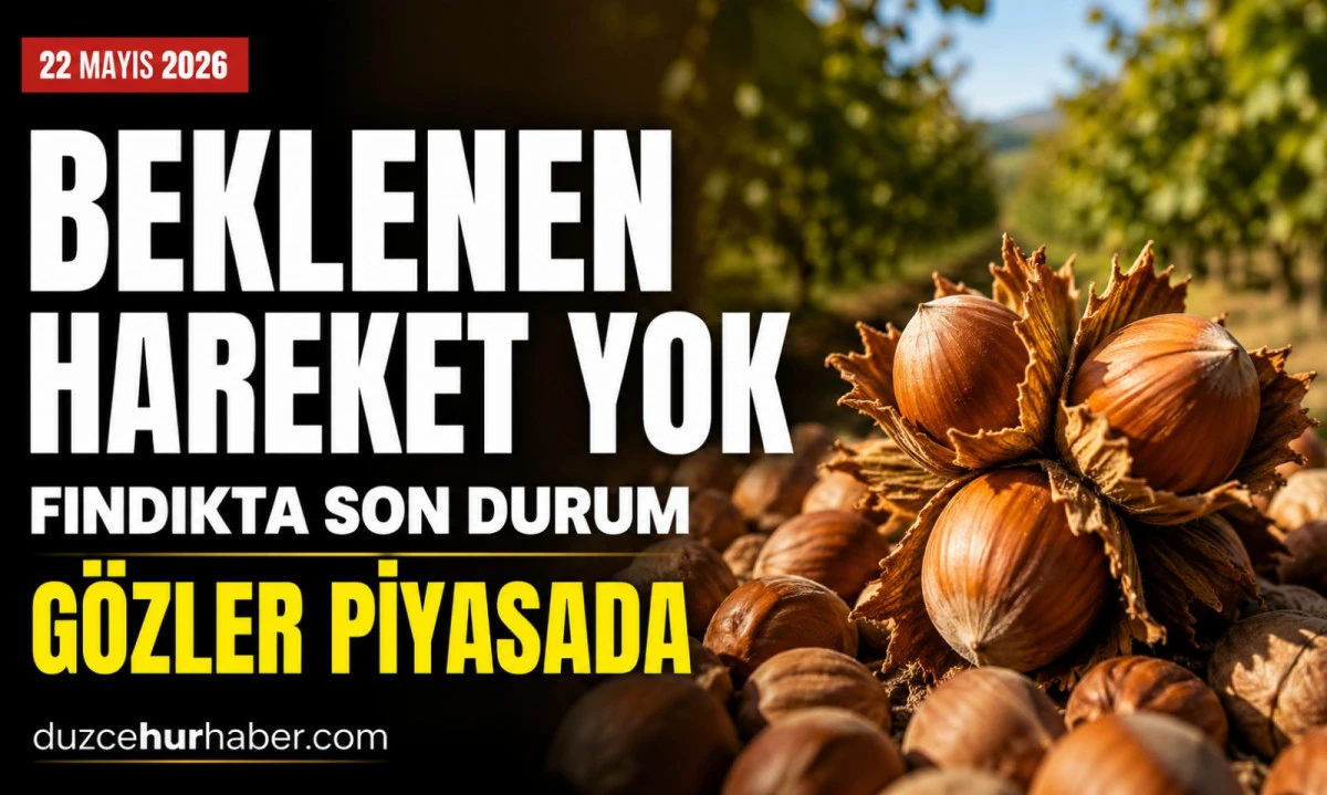 D&uuml;zce Fındık Fiyatları 22 Mayıs 2026: Piyasada Beklenen Hareket Hen&uuml;z Gelmedi