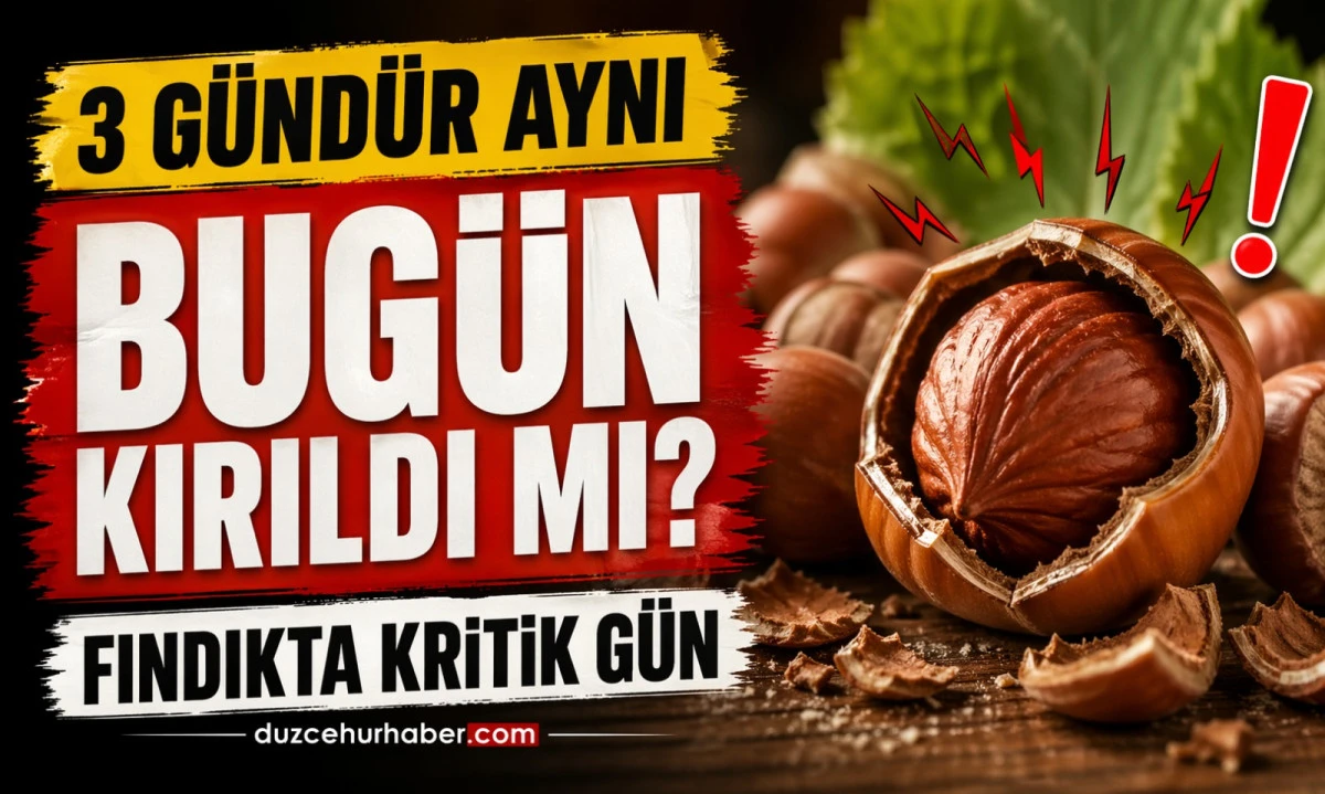 D&uuml;zce Fındık Fiyatları 22 Nisan 2026 Bug&uuml;n: 3 G&uuml;nd&uuml;r Değişmeyen Fiyatlar Kırıldı mı?